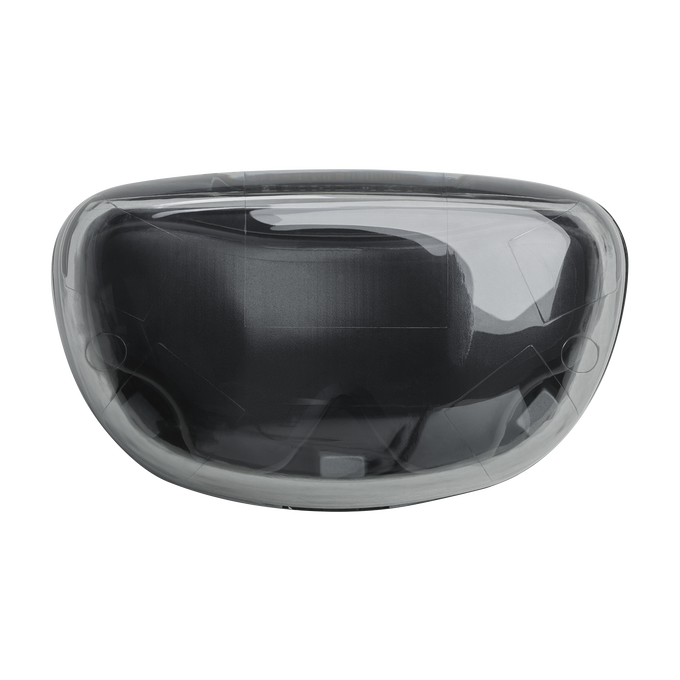 JBL Tune Flex Ghost Edition Earbuds-Black