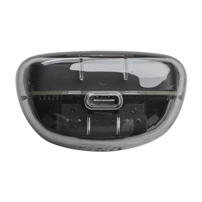 JBL Tune Flex Ghost Edition Earbuds-Black