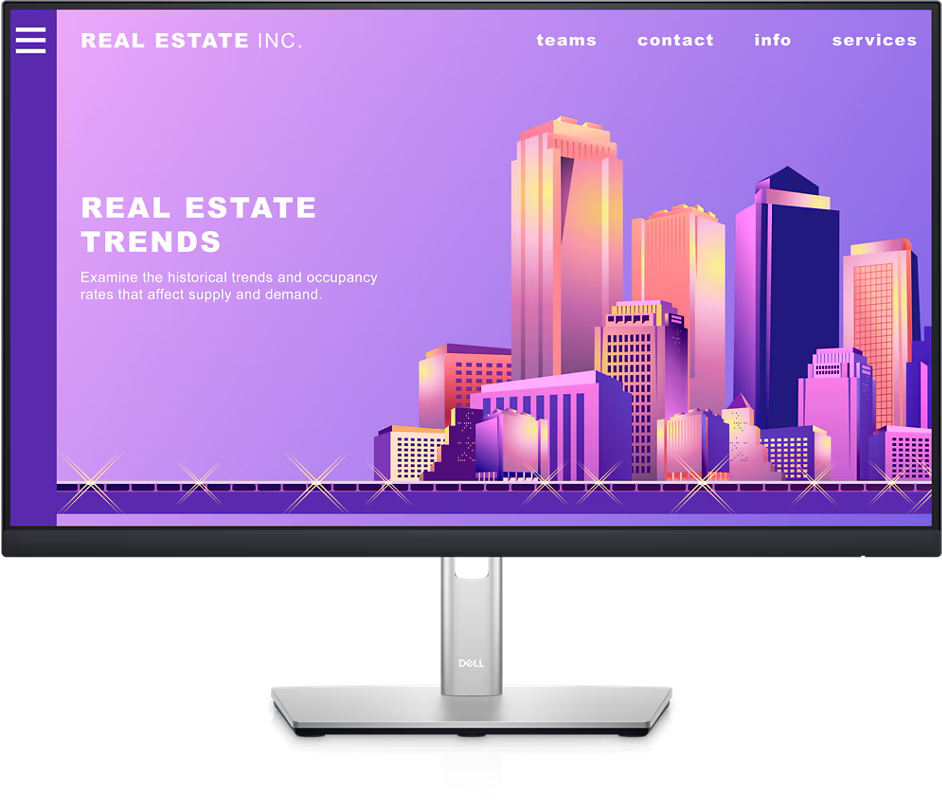 Dell 24 Inch FHD Computer Monitor - P2422H